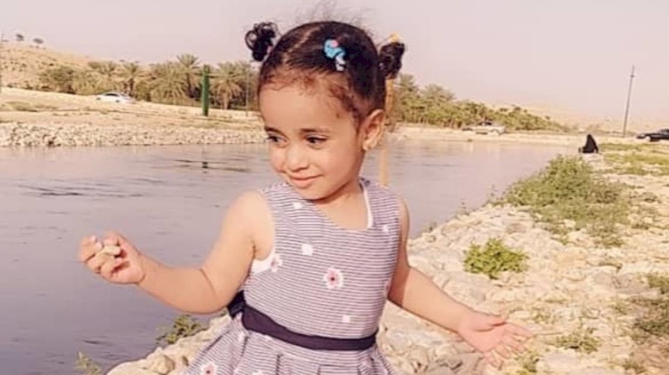 صورة| حادثة بشعة في الرياض.. كلاب تنهش طفلة أمام عيني والدتها
