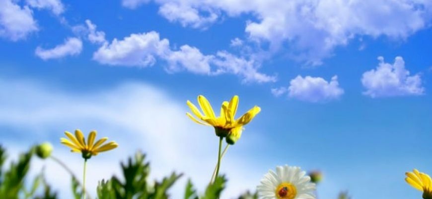الطقس: أجواء صافية ودافئة نسبيا