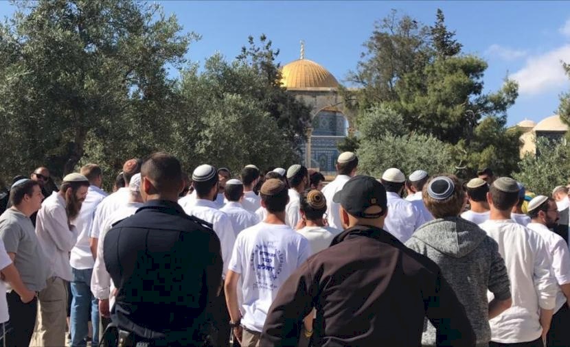 مستوطنون يقتحمون الأقصى والاحتلال يشدد إجراءاته في البلدة القديمة