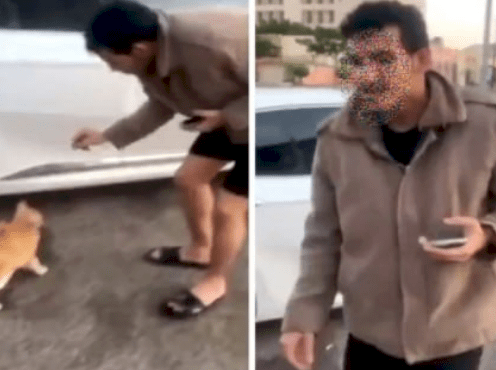 حارق القط بالسجائر يشعل غضباً عارماً .. مشهد صدم الجميع ودعوات لمحاسبته! (فيديو)
