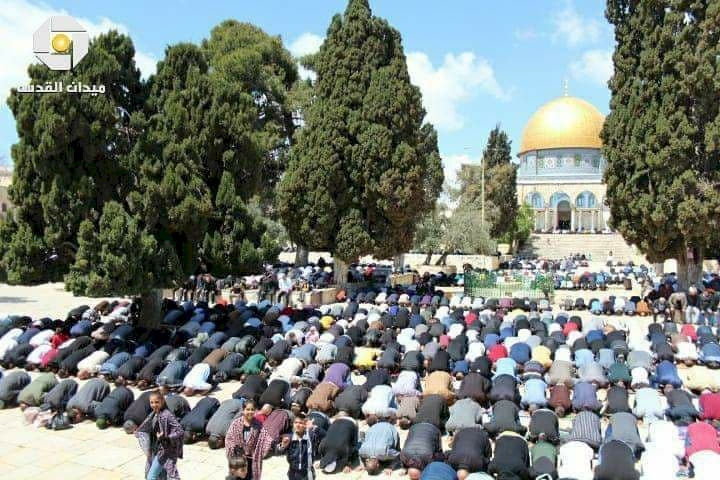 40 ألف مصل يؤدون "الجمعة" في رحاب الأقصى