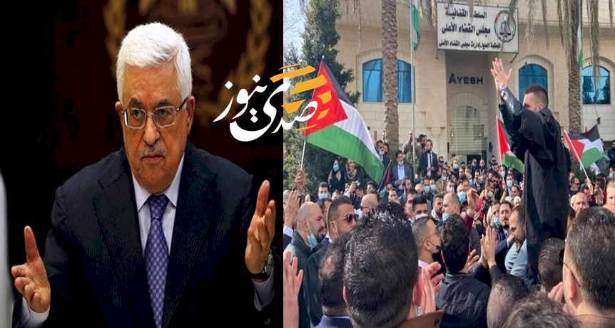 خاص| مرسوم الرئيس.. هل هو سلم لنزول نقابة المحامين عن الشجرة؟