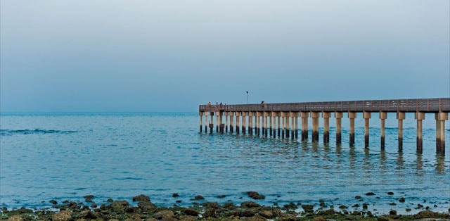 ظاهرة خطيرة تؤدي إلى اختناق الأسماك بشواطئ الكويت