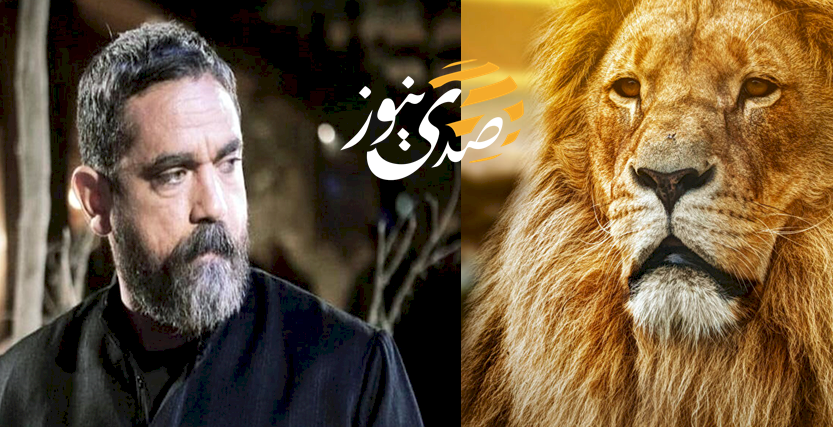 مشهد يحبس الأنفاس.. أمير كرارة يُطعم الأسد بفمه في نسل الأغراب! (فيديو)