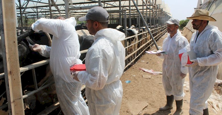 "الزراعة" في غزة تناشد: كارثة كبيرة بدأت!