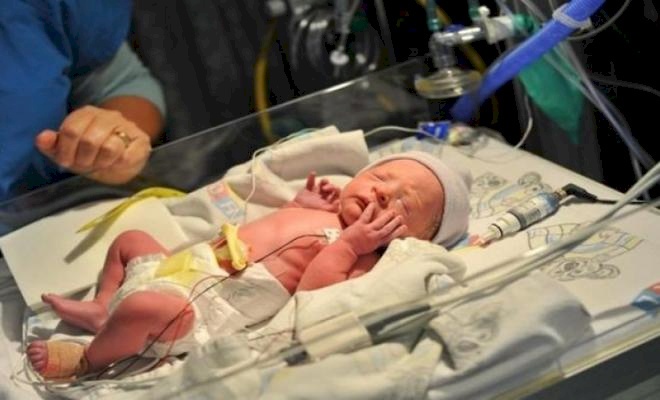 غزة تُسجل أكثر من 25 ألف مولود جديد خلال النصف الأول من العام الجاري