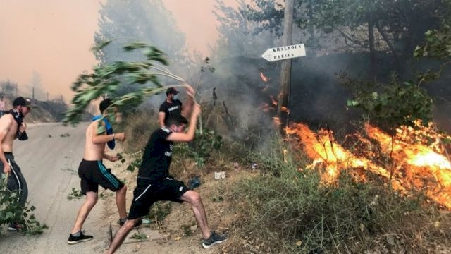 رئيس وزراء الجزائر: الحرائق كانت نتيجة فعل إجرامي ولن نتسامح مع المتورطين