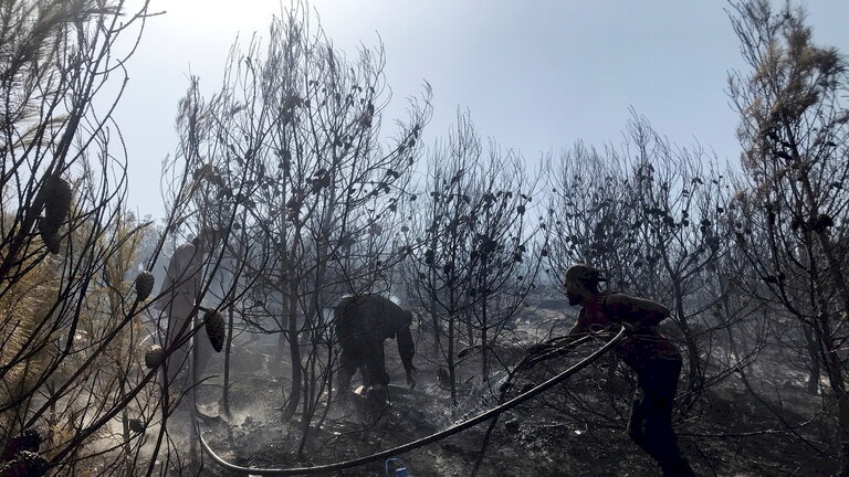 الجزائر.. النيابة تنشر اعترافات "جديدة" لمتورطين بحرق الشاب جمال بن إسماعيل