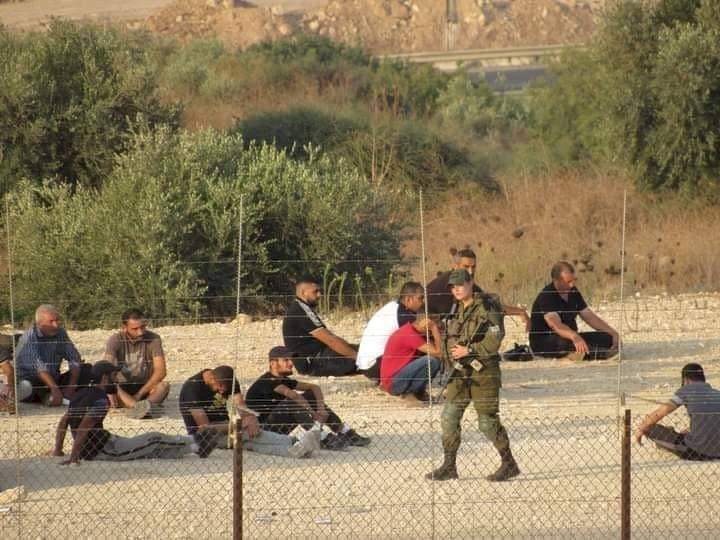 الاحتلال يطارد العمال ويحتجز العشرات منهم غرب بلدة فرعون بطولكرم