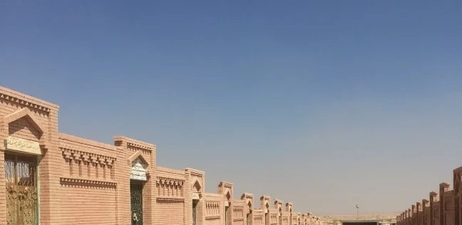 "طلع من القبر عقربين".. أزهري يفسر موقفا مرعبا حدث أثناء دفن زوج بمصر!