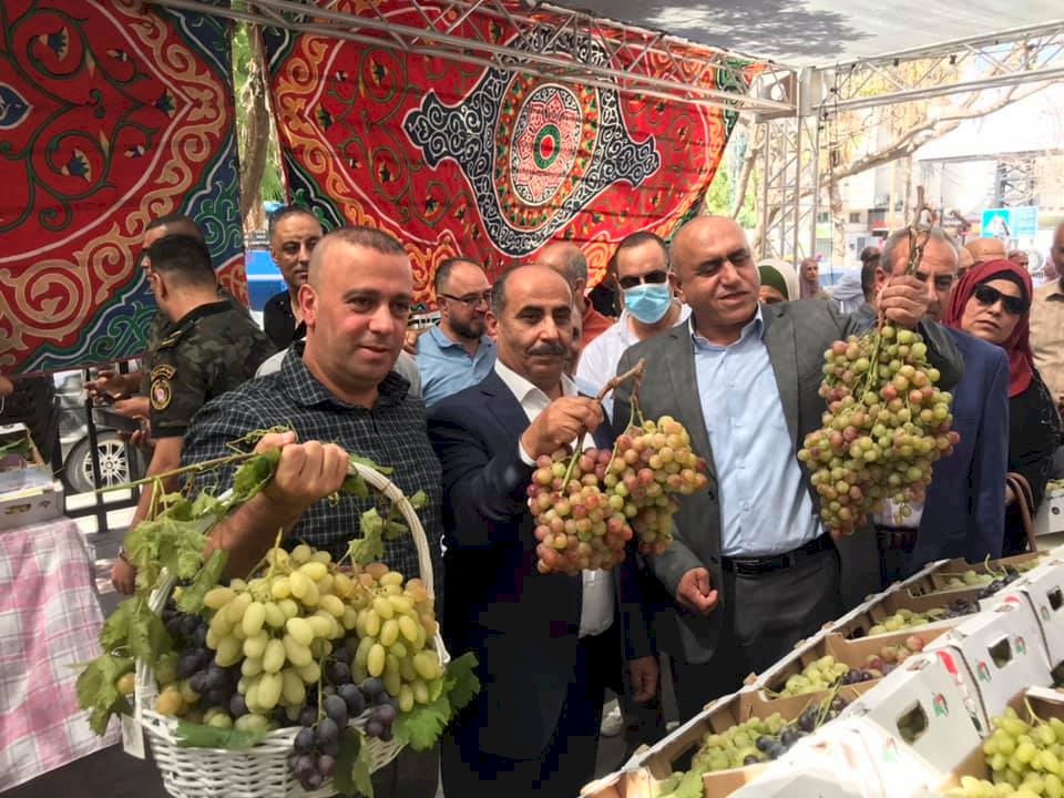 انطلاق مهرجان تسويق العنب في جنين