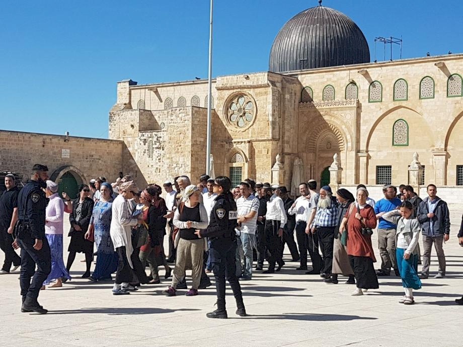 دعوات استيطانيّة لاقتحام كبير للأقصى.. وحماس تدعو للنفير