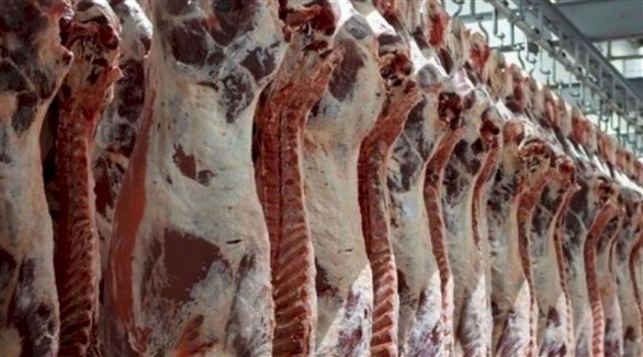 السعودية تحظر واردات لحوم الأبقار من مصانع برازيلية