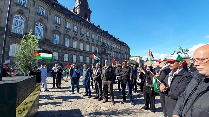 إحياء يوم العَلَم الفلسطيني في الدنمارك