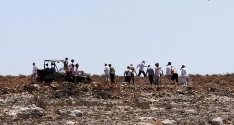 مستوطنون يعتدون على أهالي خربة المفقرة بمسافر يطا (فيديو)