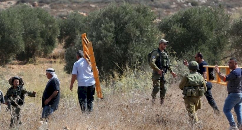 القطاع الزراعي للمنظمات الأهلية: ما يجري من اعتداءات بحق المزارعين حرب معلنة بقرار رسمي احتلالي 