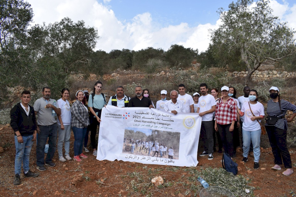 المنظمات الأهلية: مساندة المزارعين في قطف الزيتون تثبيت للوجود الفلسطيني