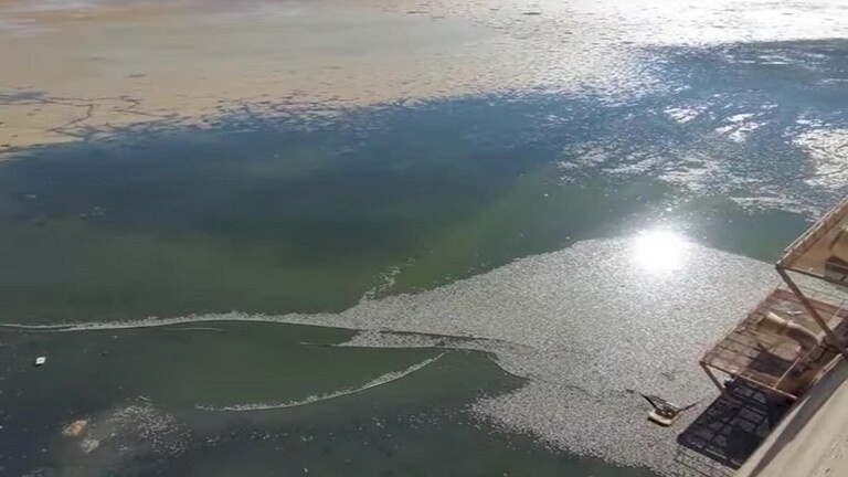 الأسباب مجهولة.. نفوق أعداد كبيرة من الأسماك في سد بالأردن