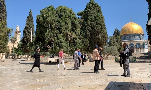 عشرات المستوطنين يقتحمون "الأقصى"