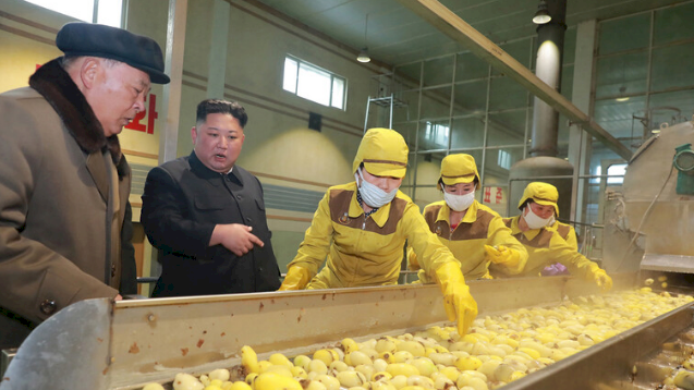 محصول البطاطا.. وسر ظهور زعيم كوريا الشمالية بعد شهر من الغياب!