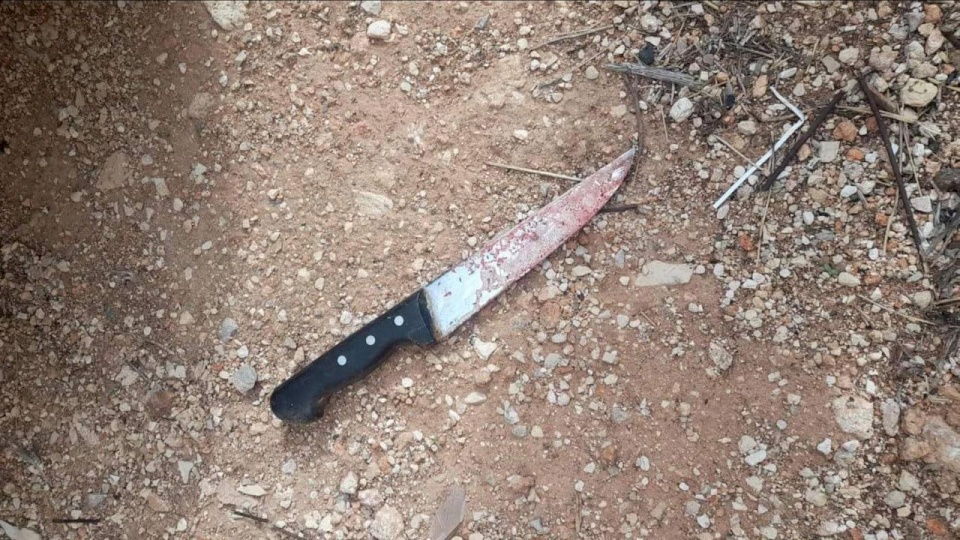 الجامعة الأمريكية بعد جريمة قتل أحد طلبتها: طالبنا مراراً بتواجد الأمن