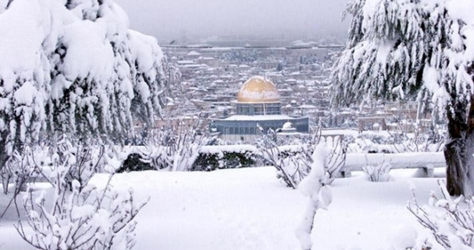 فيديو| راصد جوي يكشف عن احتمالات تساقط الثلوج على فلسطين