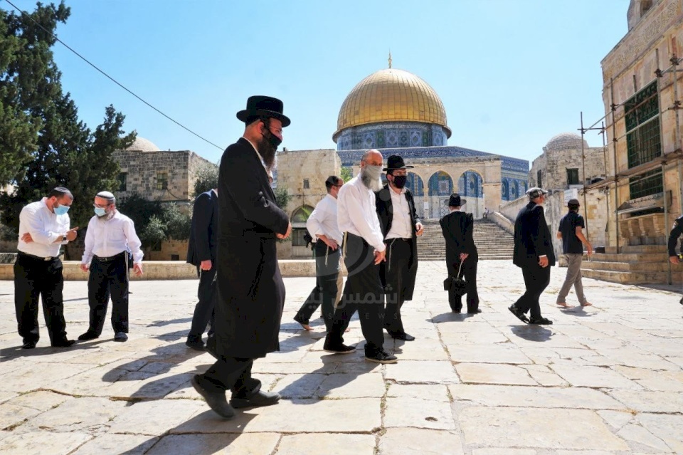 مستوطنون يقتحمون "الأقصى" بقيادة المتطرف فيغلن