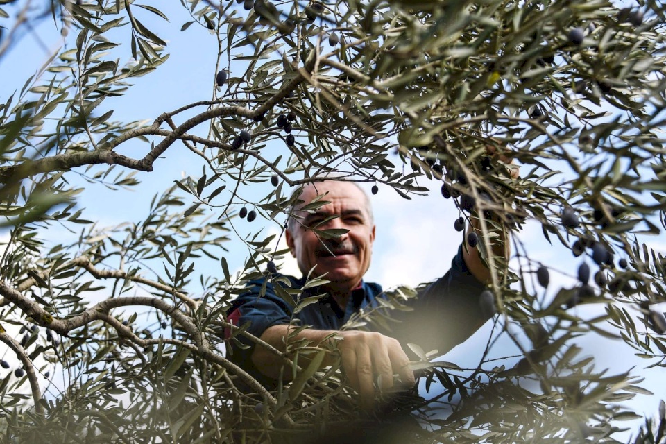 هل حقاً انخفضت البطالة في فلسطين كما قال رئيس الوزراء؟!