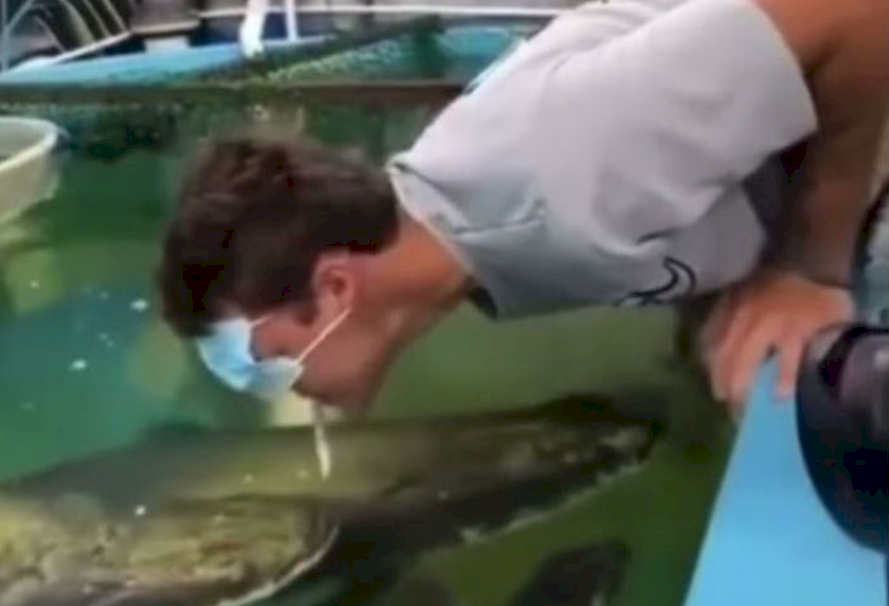 حادثة مرعبة: سمكة كادت تقتل رجلا حاول اطعامها.. "نطحة" غير متوقعة (فيديو)