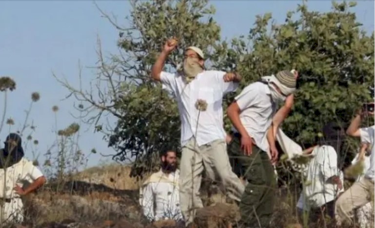 شبيبة جنين تدعو لتفعيل لجان الحراسة الليلية لصد هجمات المستوطنين