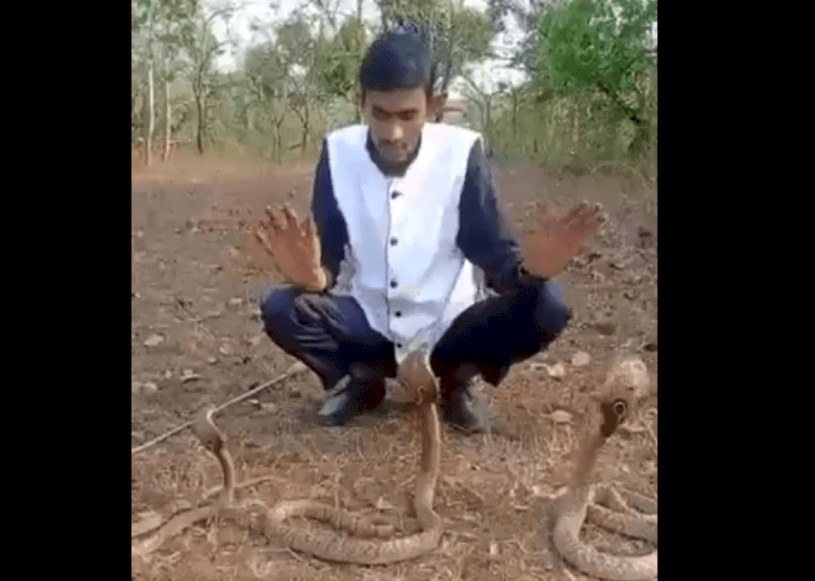 حاول الاستعراض مع ثلاثي "الكوبرا" فكانت النتيجة كارثية.. فيديو