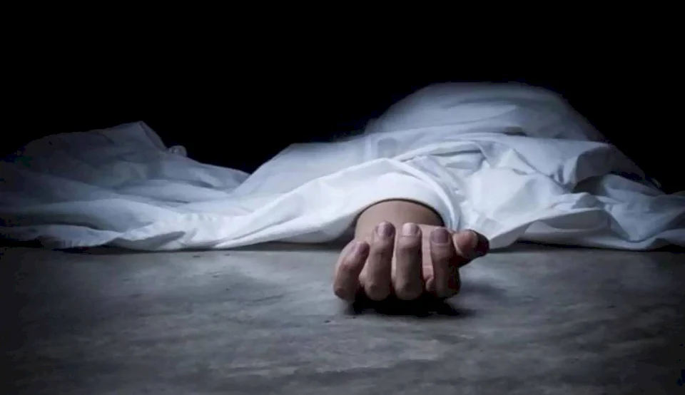 جريمة تهز مصر.. امرأة تمر بأزمة نفسية تقتل شقيقها بطريقة مروعة