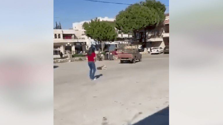شاهد| فيديو يثير الجدل في لبنان.. امرأة تقتل كلبا رميا بالرصاص!