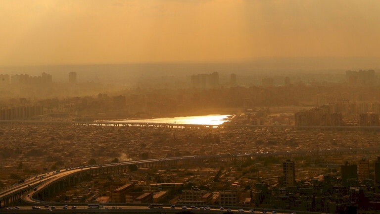 شاهد- حيوان "غريب" يثير الذعر في مصر