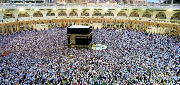 "الأوقاف" تعلن أسماء حجاج المحافظات الشمالية لموسم حج 2025