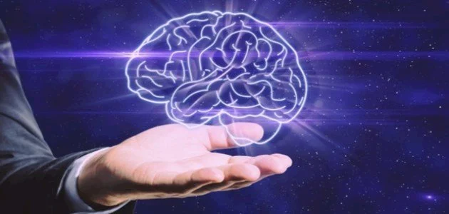 Comment le cerveau se débarrasse-t-il des déchets toxiques ?