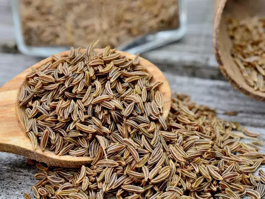 نبات الكروية..تابل بفوائد صحية مدهشة