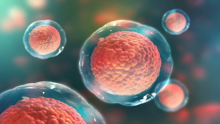 اليابان تختبر علاجاً مناعياً للسرطان بواسطة الخلايا الجذعية