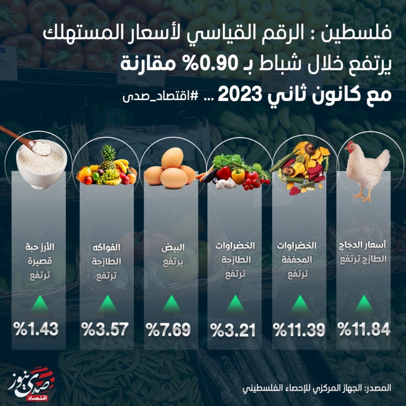 الإحصاء: الرقم القياسي لأسعار المستهلك يسجل ارتفاعاً خلال شباط