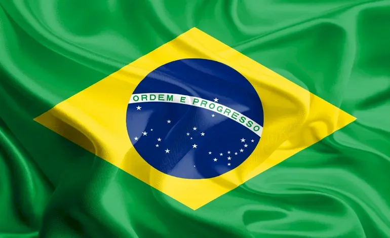 رئيس البرازيل يكشف عن خطة لوقف إزالة الغابات في الأمازون