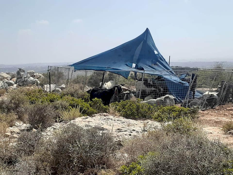 المستوطنون يعيدون نصب خيمة في أرض شرق طولكرم