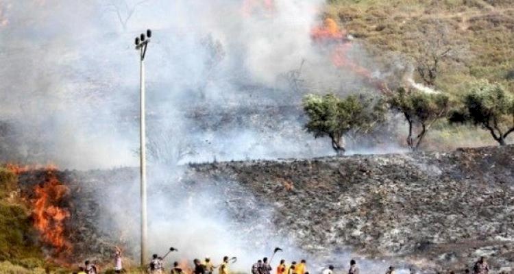 مستوطنون يحرقون محاصيل زراعية جنوب الخليل