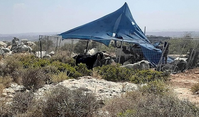 إطلاق نار يستهدف خيمة للمستوطنين شرق طولكرم