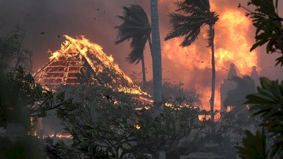 خسائر حرائق الغابات في هاواي الأمريكية تبلغ 1.3 مليار دولار