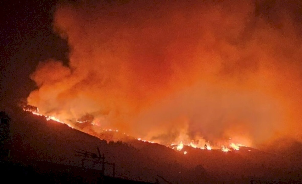 ارتفاع حصيلة قتلى حرائق الغابات في هاواي إلى 114 شخصا