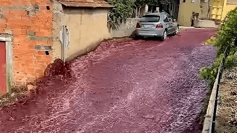 النبيذ يجتاح شوارع قرية في البرتغال