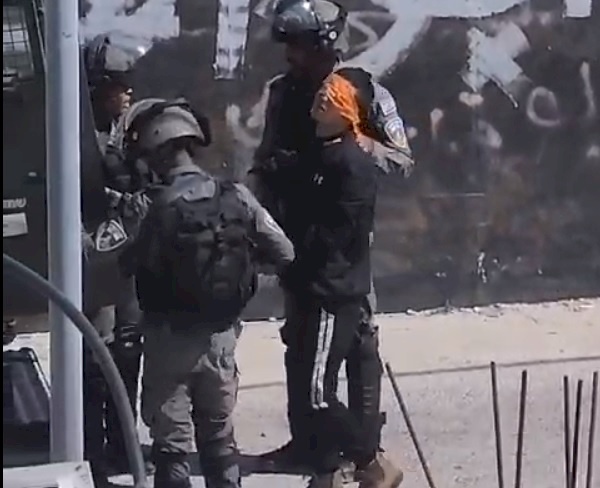 ‏"الجدار والاستيطان": 923 اعتداءً للاحتلال ومستوطنيه الشهر الماضي