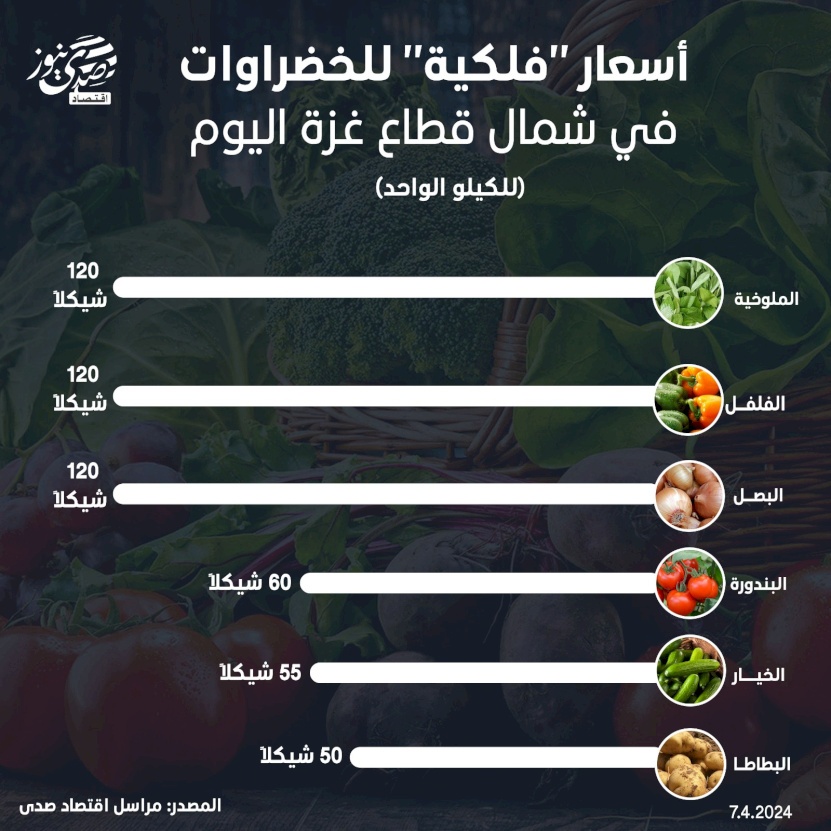 أسعار "فلكية" للخضراوات في شمال قطاع غزة اليوم