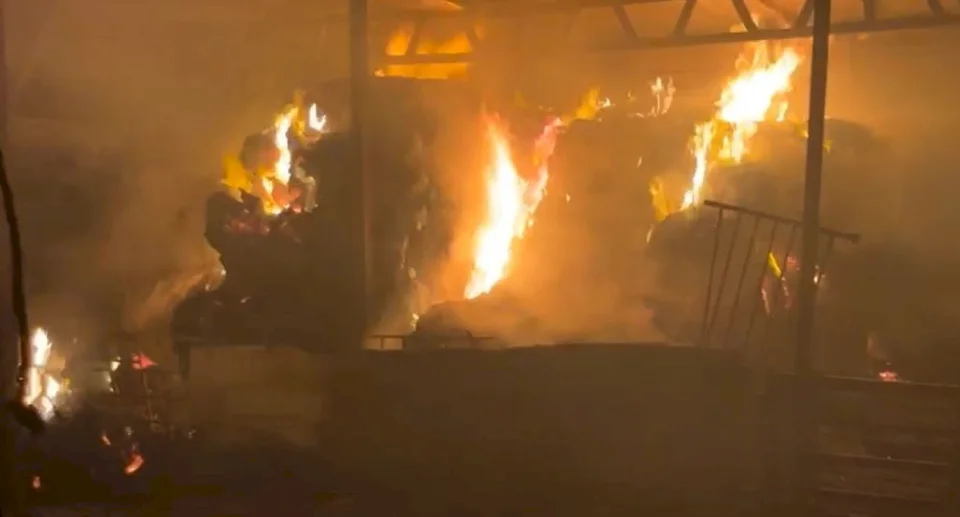 مستعمرون يحرقون خياما في منطقة الميتة بالأغوار الشمالية