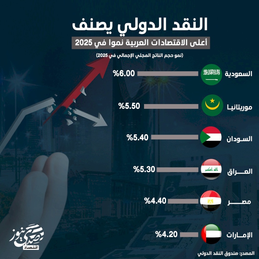النقد الدولي يصنف أعلى الاقتصادات العربية نموا في 2025